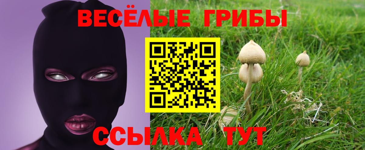 Галлюциногенные грибы MAGIC MUSHROOMS Богданович
