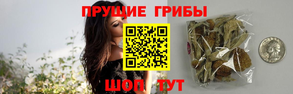 Псилоцибиновые грибы ЛСД  Вход с VPN  наркошоп  Галлюциногенные грибы мицелий  Богданович 